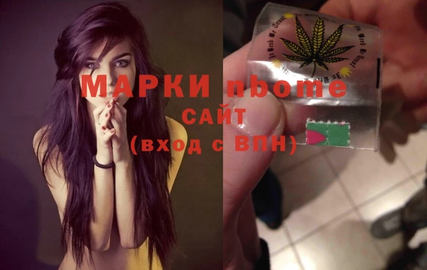 хмурый Богородицк