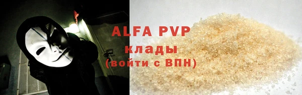PSILOCYBIN Белокуриха