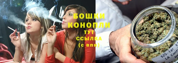 хмурый Богородицк