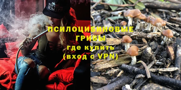 скорость Богданович