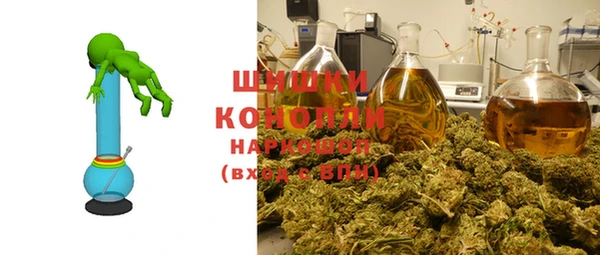 хмурый Богородицк