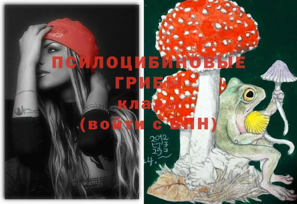 хмурый Богородицк